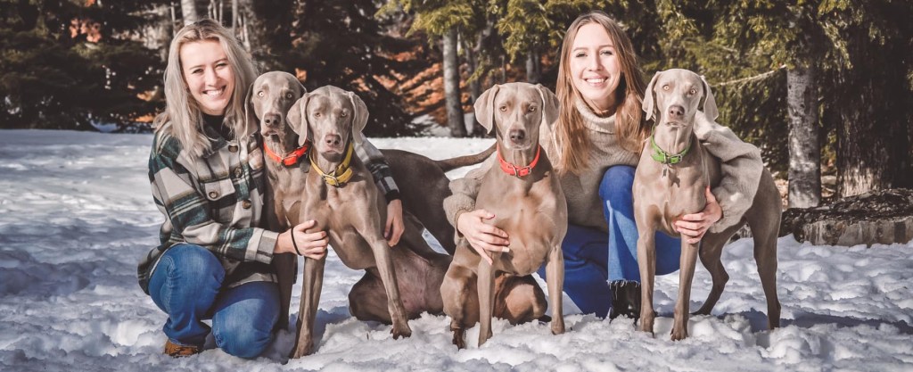 La nascita di&nbsp;Mantogrigio