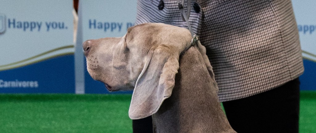 Expo San Marino&nbsp;19-20/03/2022