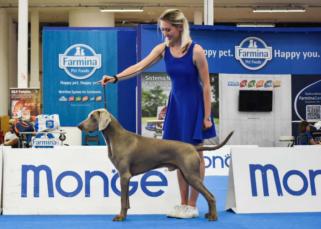 Expo Pisa 04/06/2022