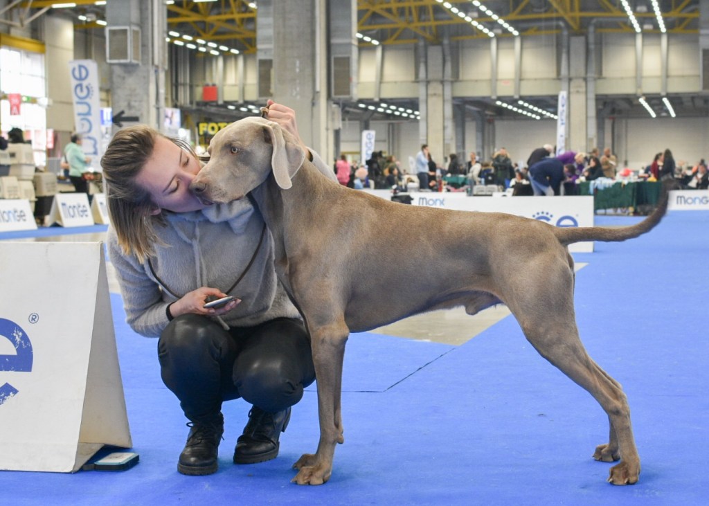Expo Bologna 19/02/2023