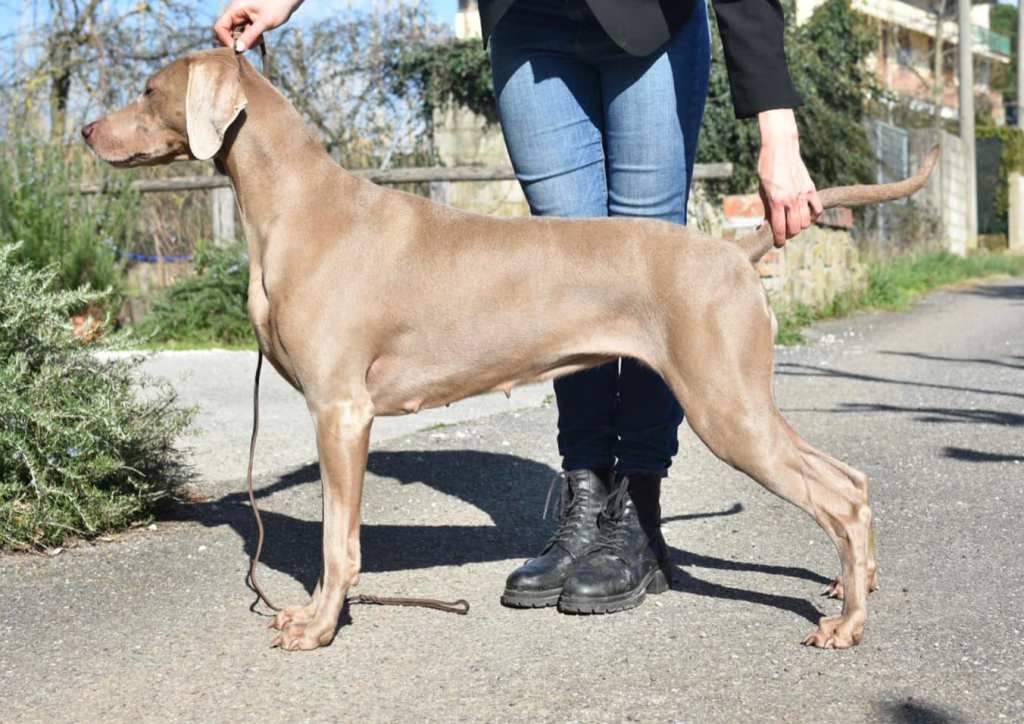 Expo Firenze 11-12/03/2023