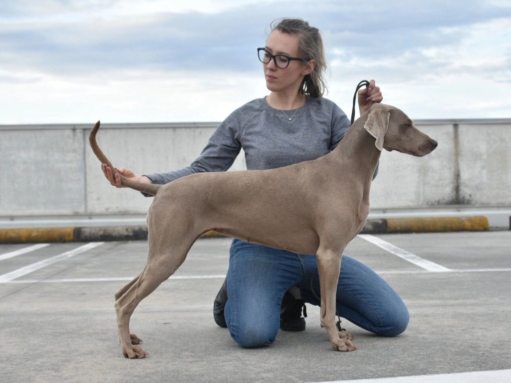 Expo Livorno 23/04/2023