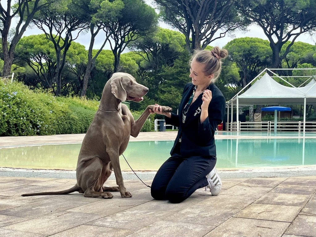 Expo Grosseto 27/09/2024