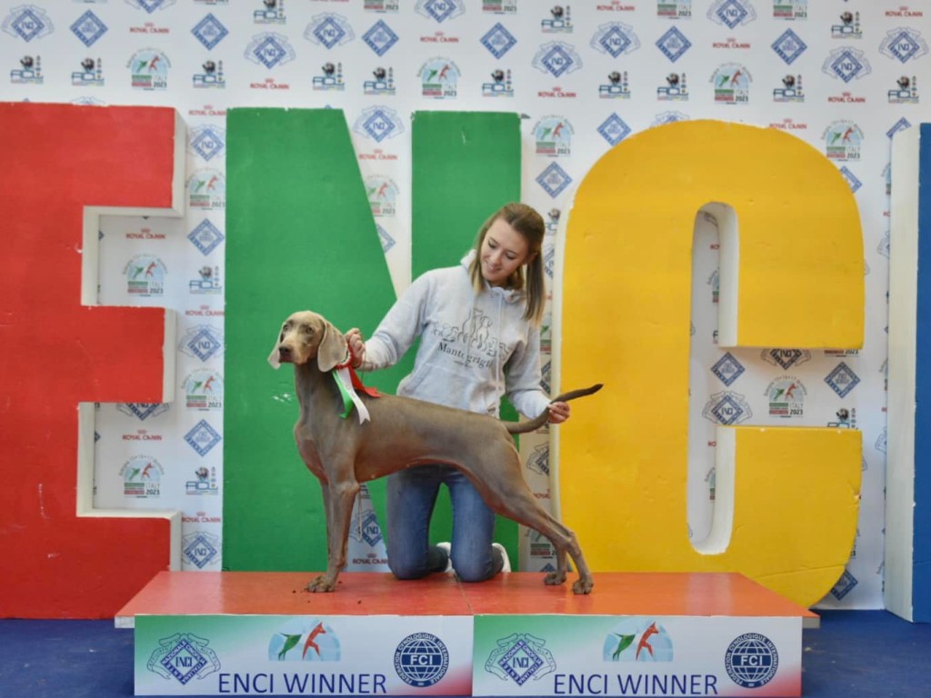 Expo Enci Winner&nbsp;2023