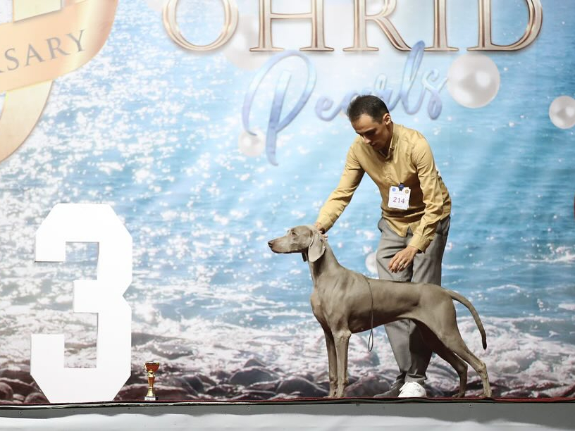 Expo Ohrid (Macedonia) 31/08/- 01-02-03/09/2023